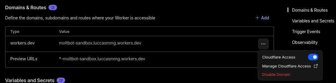 Enable Cloudflare Access from the workers.dev domain menu